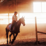 Horse Riding